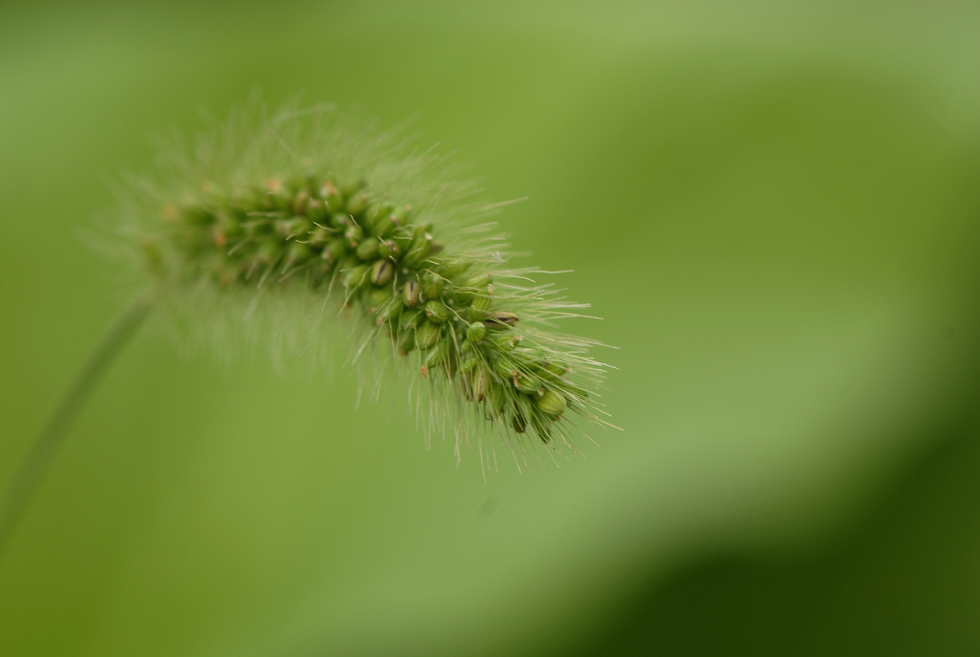 DSC_9615.jpg
