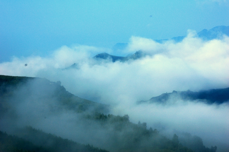 DSC_0144-1.jpg