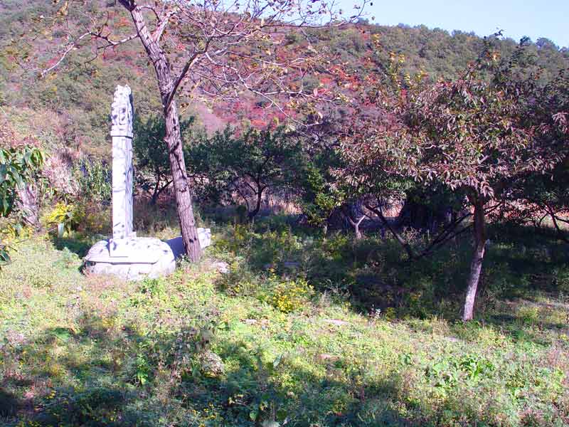 20050613001920200.jpg