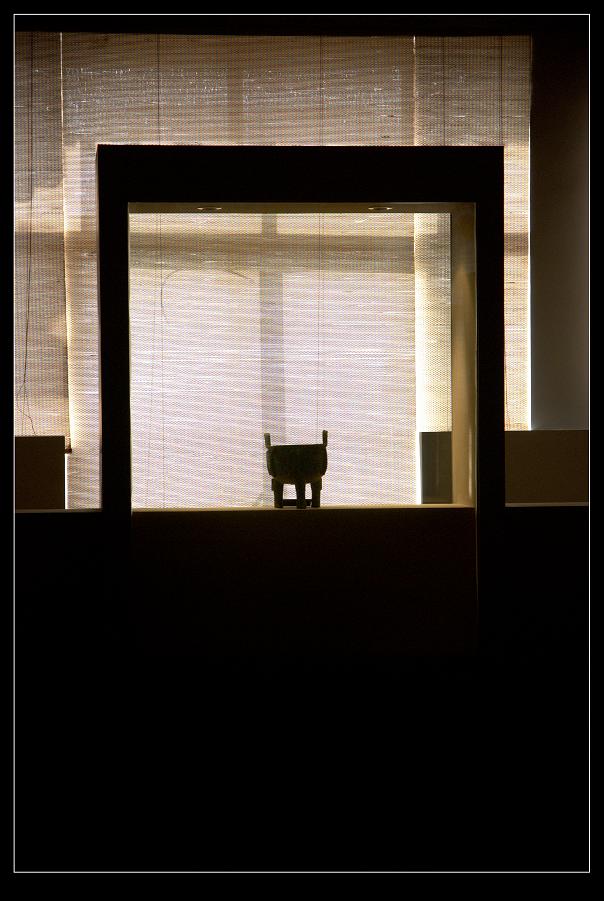 nEO_IMG_DSC_0382.jpg