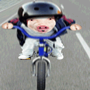 С����Ҫ�������������������ɣ�����͵ġ��� ���ߣ�gyl4802959