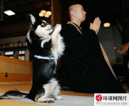������ ���ߣ�qing